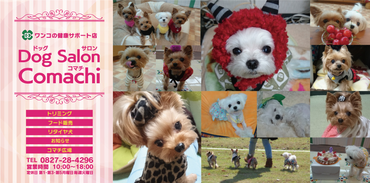 トリミング専門店ドックサロンコマチ