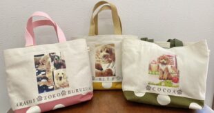 続々完成しています(*^▽^*)