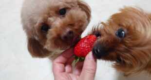 どこでも大丈夫(#^^#)