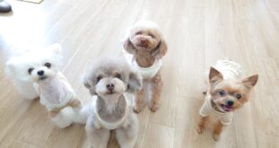 若いもんには負けませんよ。