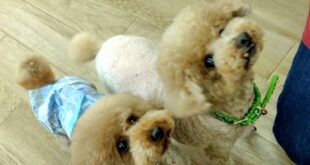 太陽君＆まもる君