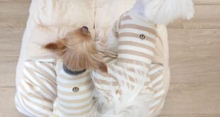 新品と１０年モノ。