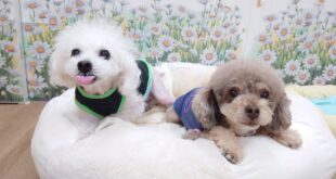 ビッグニュースです！！！！