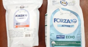 お詫びを込めて２０％ＯＦＦで