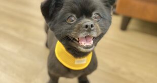 くま子ちゃんありがとう♪