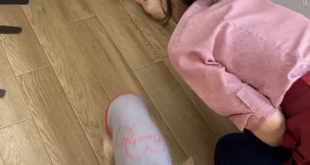 「おいで！」のトレーニング