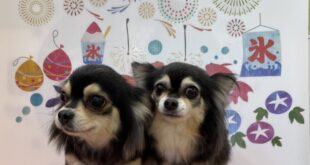 うるんちゃん＆めめちゃん