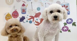 うみちゃん＆あまぐりちゃん