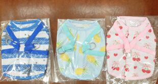 クールハーネス