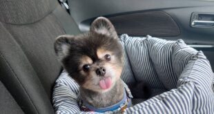 抜糸してきたよ☆