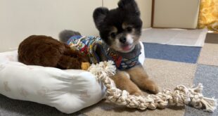 テオ君のその後