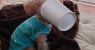 楽しませてくれます☆