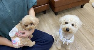 ゆるちゃんに家族が決まりましたヽ(^o^)丿