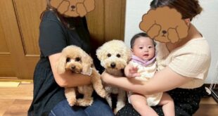 ゆるちゃんのその後