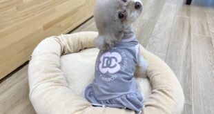 サンプル着てみたよ(*´▽｀*)