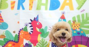 ９月のお誕生日🎂