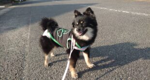 お散歩行ったよ♬