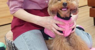 そら君のマッサージ