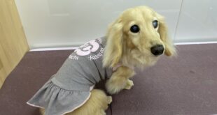 凛ちゃんの重ね着コーデ