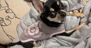 初めましての可愛い子💛