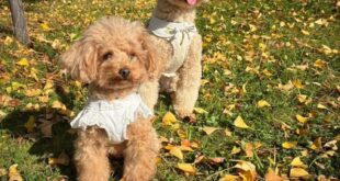 虎太郎くん＆優瑠花ちゃんファミリー💛