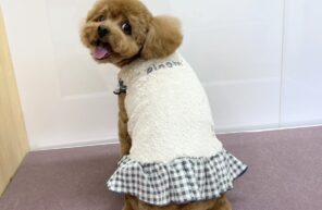 モデル🐶part６