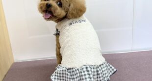 モデル🐶part６