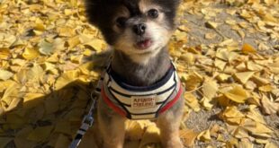 ぜひポストカードに✨✨