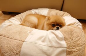 ぺこちゃんハマってます💛