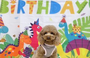 ひまりちゃんお誕生日おめでとう🎂🎉