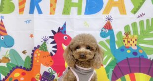 ひまりちゃんお誕生日おめでとう🎂🎉