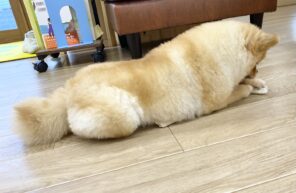 全部わたしのっっ！