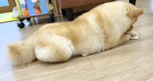 全部わたしのっっ！