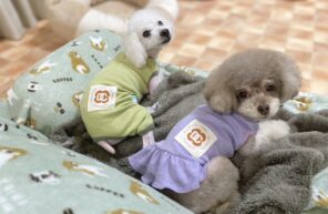 陽太とおはぎちゃんも。