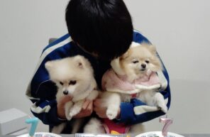 お誕生日おめでとう🎂🎉