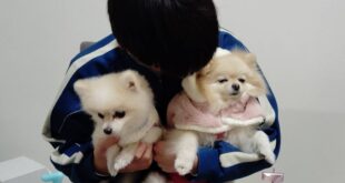 お誕生日おめでとう🎂🎉