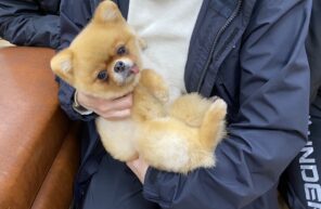 ビッグニュース！！