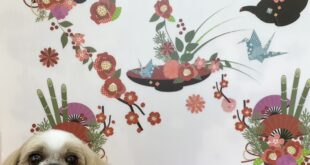 モデル🐶part１６