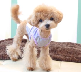 こころ君カット✂ こころ君カット✂