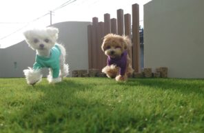 年内最後のお休みの日。