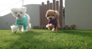 年内最後のお休みの日。