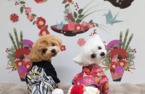 ２０２６年　明けましておめでとうございます🎍