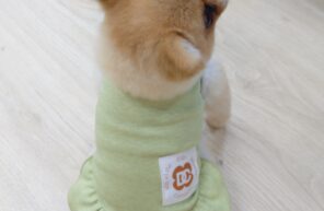 ぺこちゃんのお嫁入