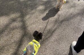 ポメ～ズの可愛いお散歩