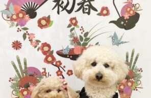 優瑠花ちゃんファミリー