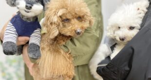 おかえり太陽君