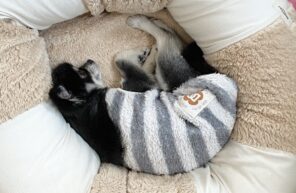 やっぱり、みんな好きみたい💛