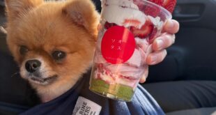 ぺこちゃんとイチゴ