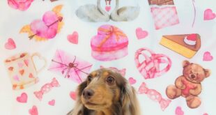 きなこちゃん＆もなかちゃん