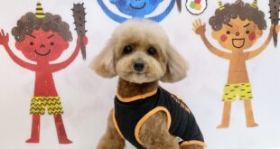 優作くん＆ラムちゃん